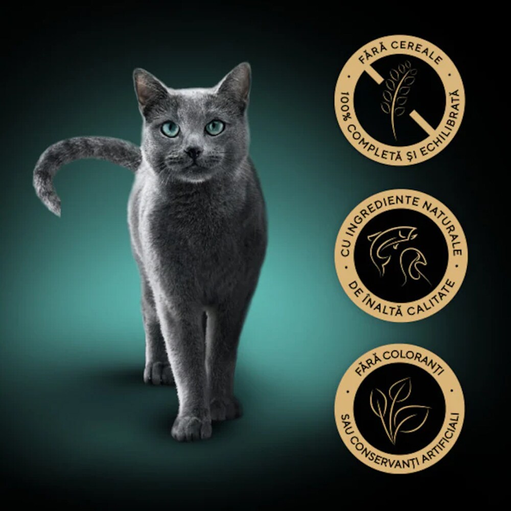 Hrana umeda pentru pisici SHEBA Delikatesse, Adult, Ton in aspic, 28 x 85 g