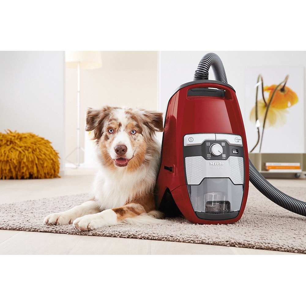 Aspirator fara sac MIELE Blizzard CX1 Cat&Dog PowerLine, 2l, 890W, rosu