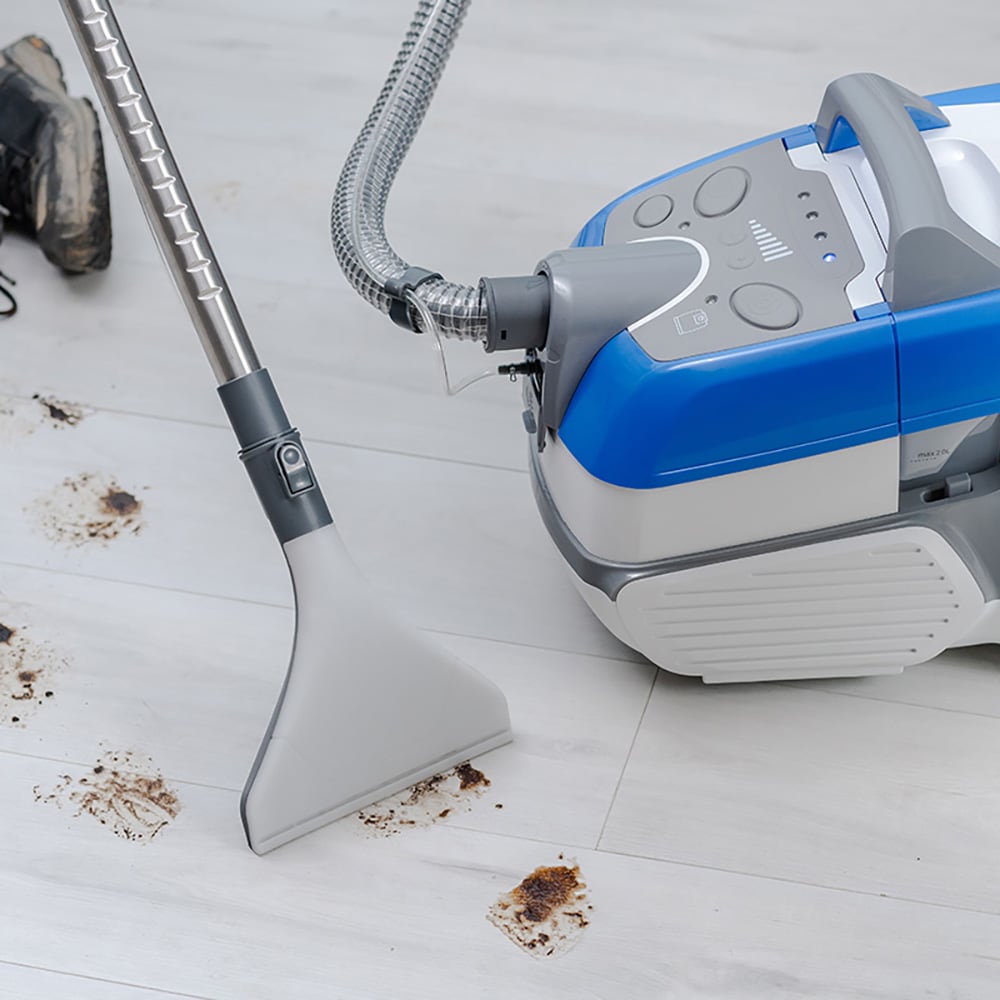 Aspirator cu spalare ZELMER Leon ZVC9150D, 3.5l, 2100W, gri-albastru