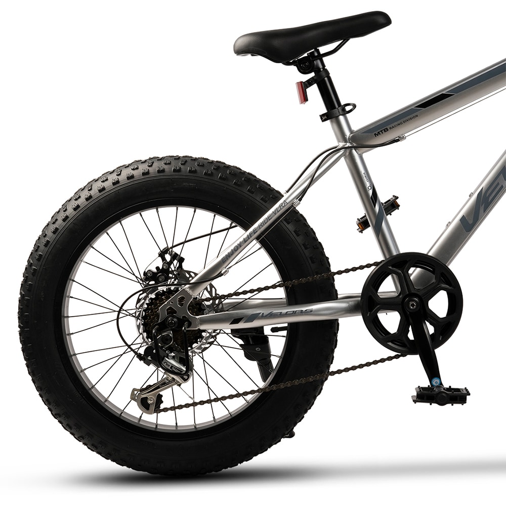 Bicicleta copii VELORS V2019B, roata 20", 7 viteze, frana disc mecanica, argintiu
