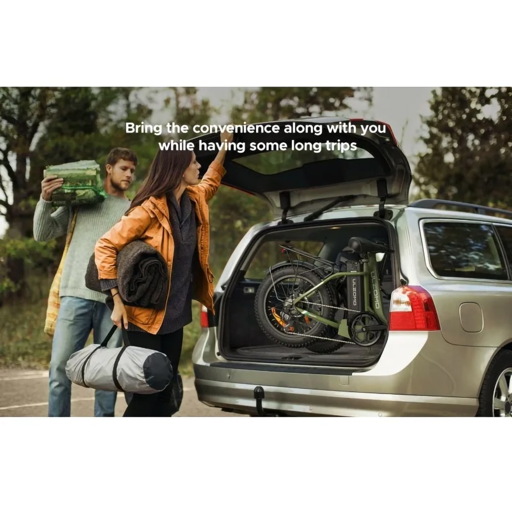 Bicicleta asistata electric ULZOMO Dolphin, roata 20", motor 350W, viteza maxima 25km/h, verde