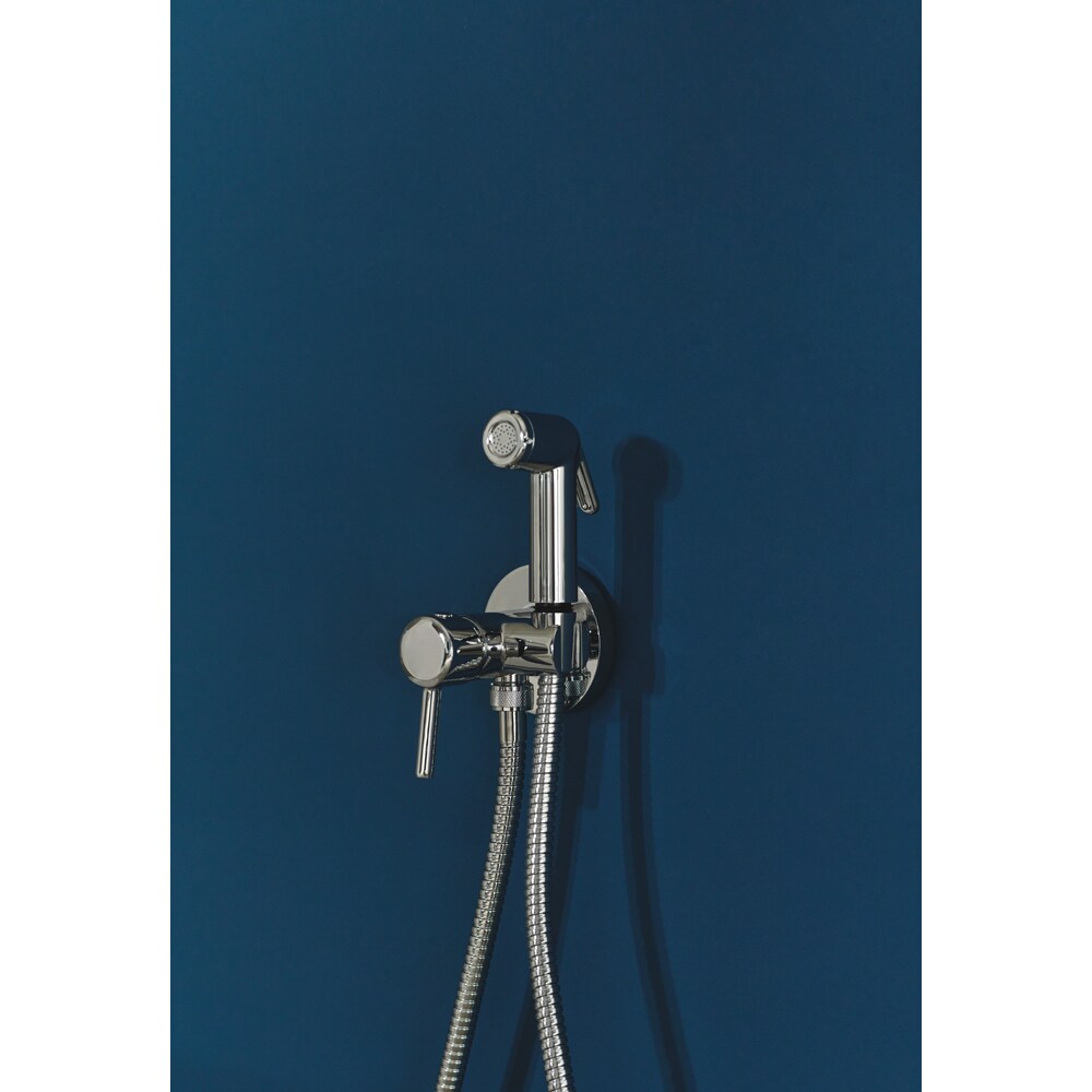 Set dus igienic IDEAL STANDARD IdealSpray BD130AA, 1 functie, crom
