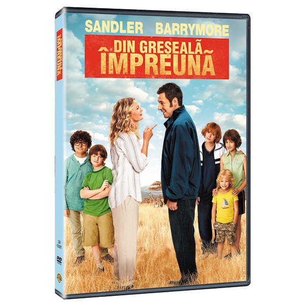 Din greseala impreuna DVD
