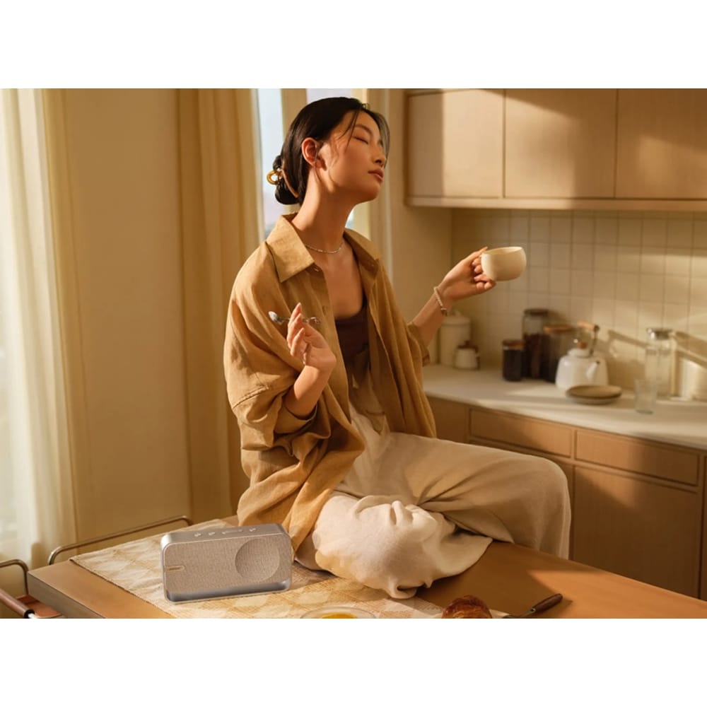 Boxa portabila BOSE SoundLink Home, Bluetooth, Silver