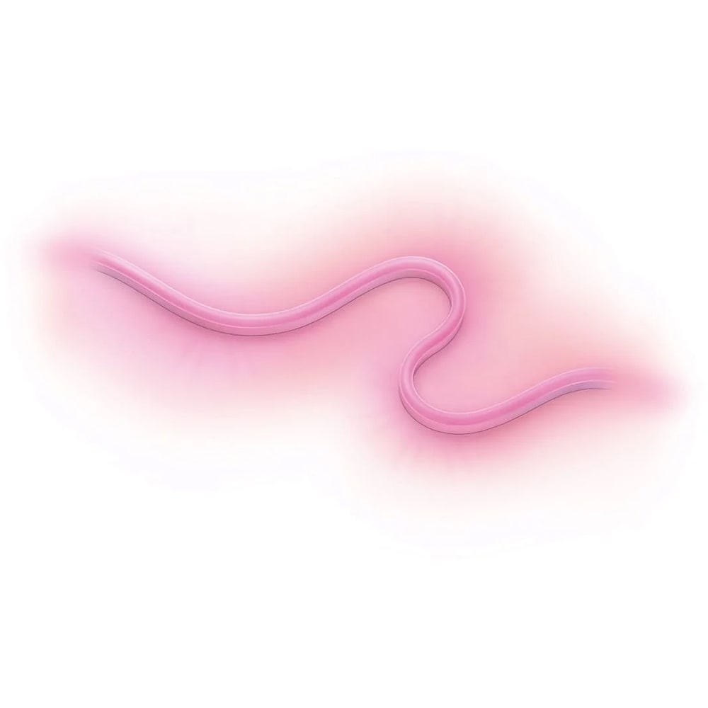 Banda LED exterior Smart WIZ, RGB, 24W, 630lm, 5m