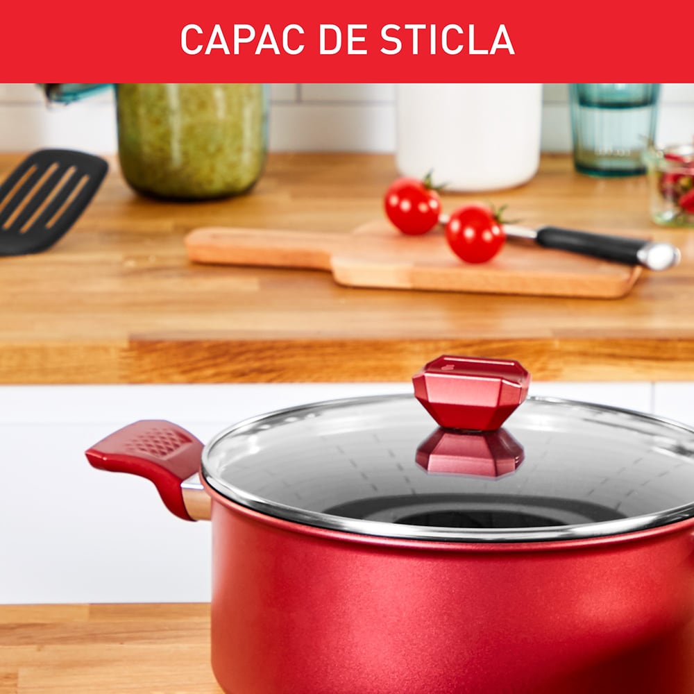 Oala TEFAL Daily Expert, 24 cm, aluminiu, rosu