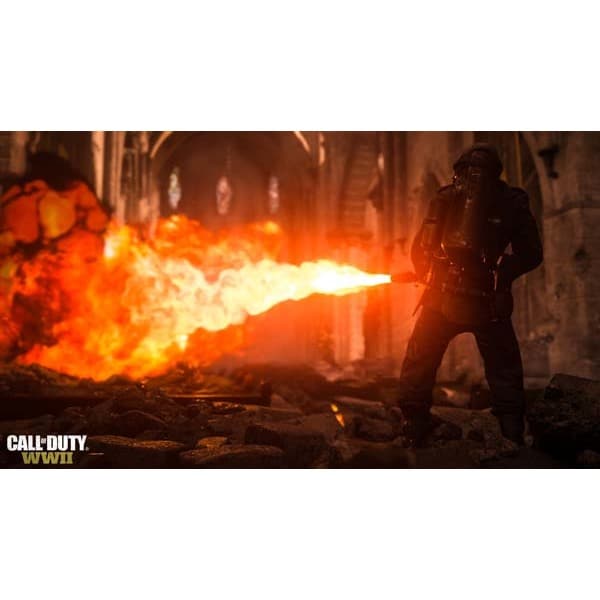 Call of Duty: WWII PC (Code in a box)