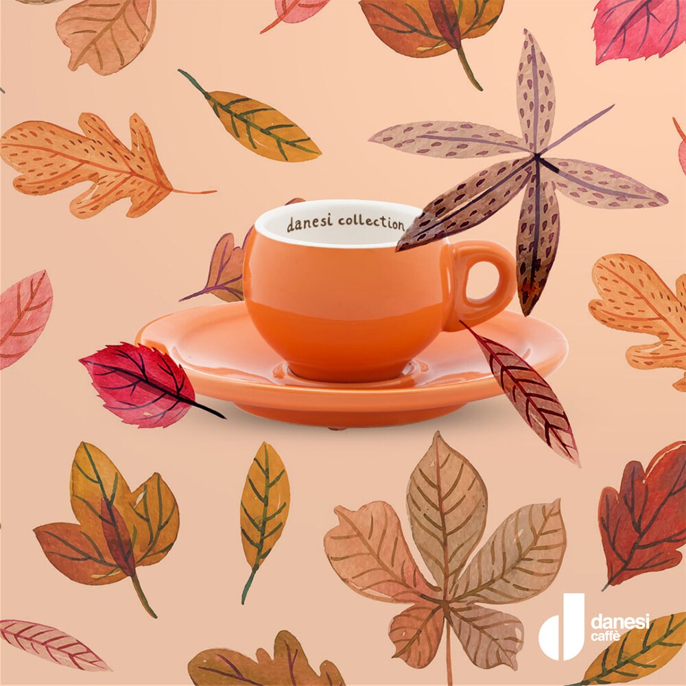 Set cafea macinata DANESI CAFFE 250g + cutie ceramica + 6 cesti espresso, portocaliu