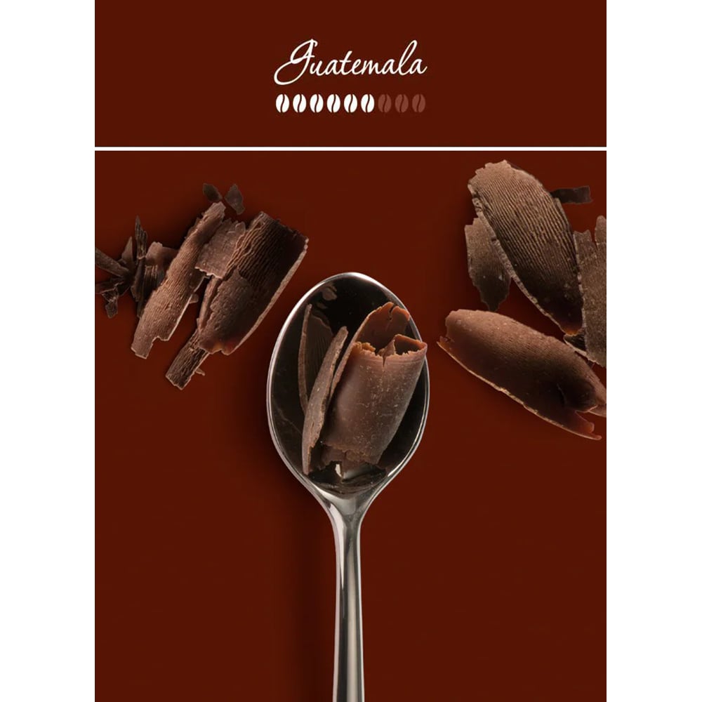 Cafea boabe ILLY Arabica Selection Guatemala, 250g