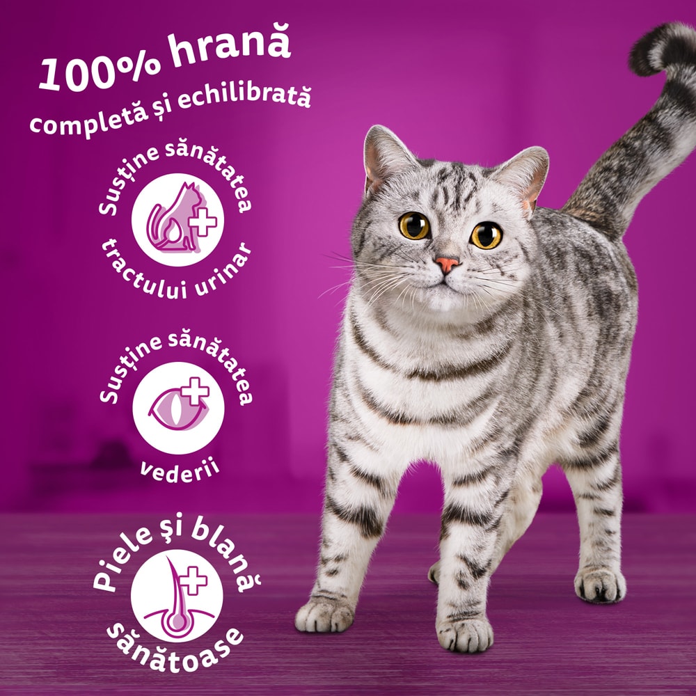 Hrana uscata pentru pisici WHISKAS, Sterile, Pui, 14 kg