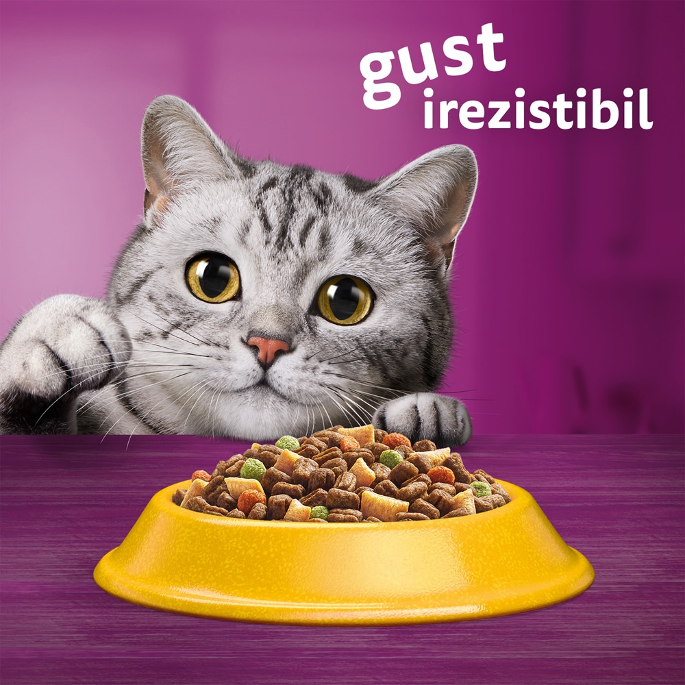 Hrana uscata pentru pisici WHISKAS, Sterile, Pui, 14 kg
