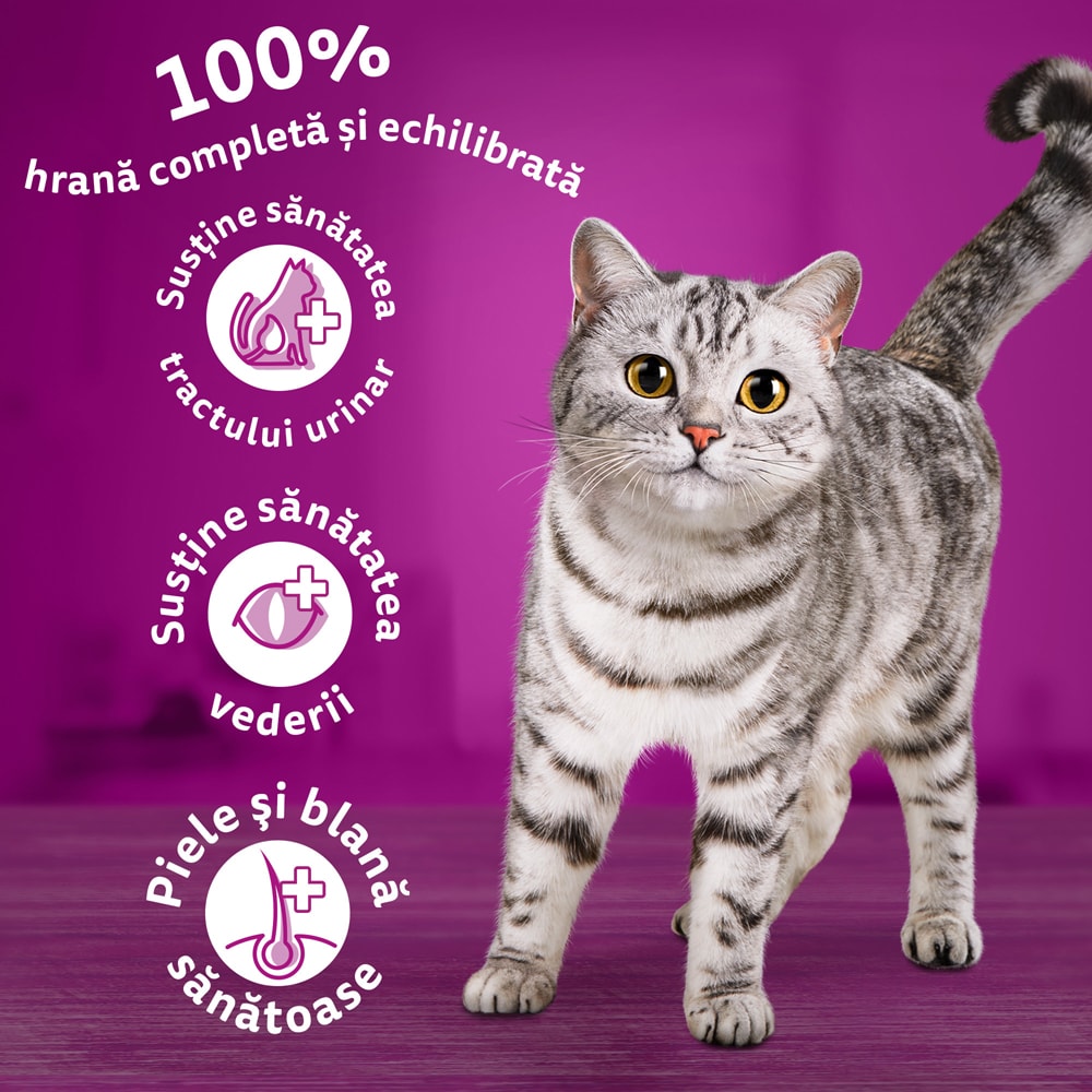 Hrana uscata pentru pisici WHISKAS, Adult, Vita, 1.4 kg