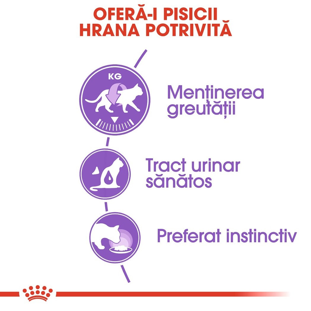 Hrana umeda pentru pisici ROYAL CANIN FHN Sterilized, Adult, Mix in sos, 12 x 85g