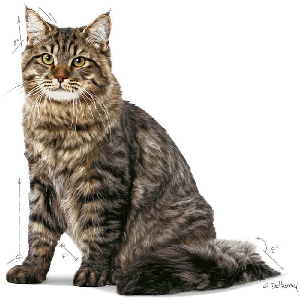 Hrana uscata pentru pisici ROYAL CANIN FCN Urinary Care, Adult, Pasare, 2 kg