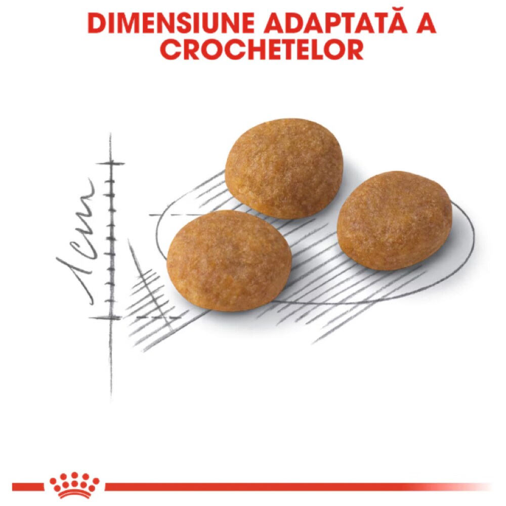 Hrana uscata pentru pisici ROYAL CANIN FHN Exigent Aroma, Adult, Mix, 2 kg