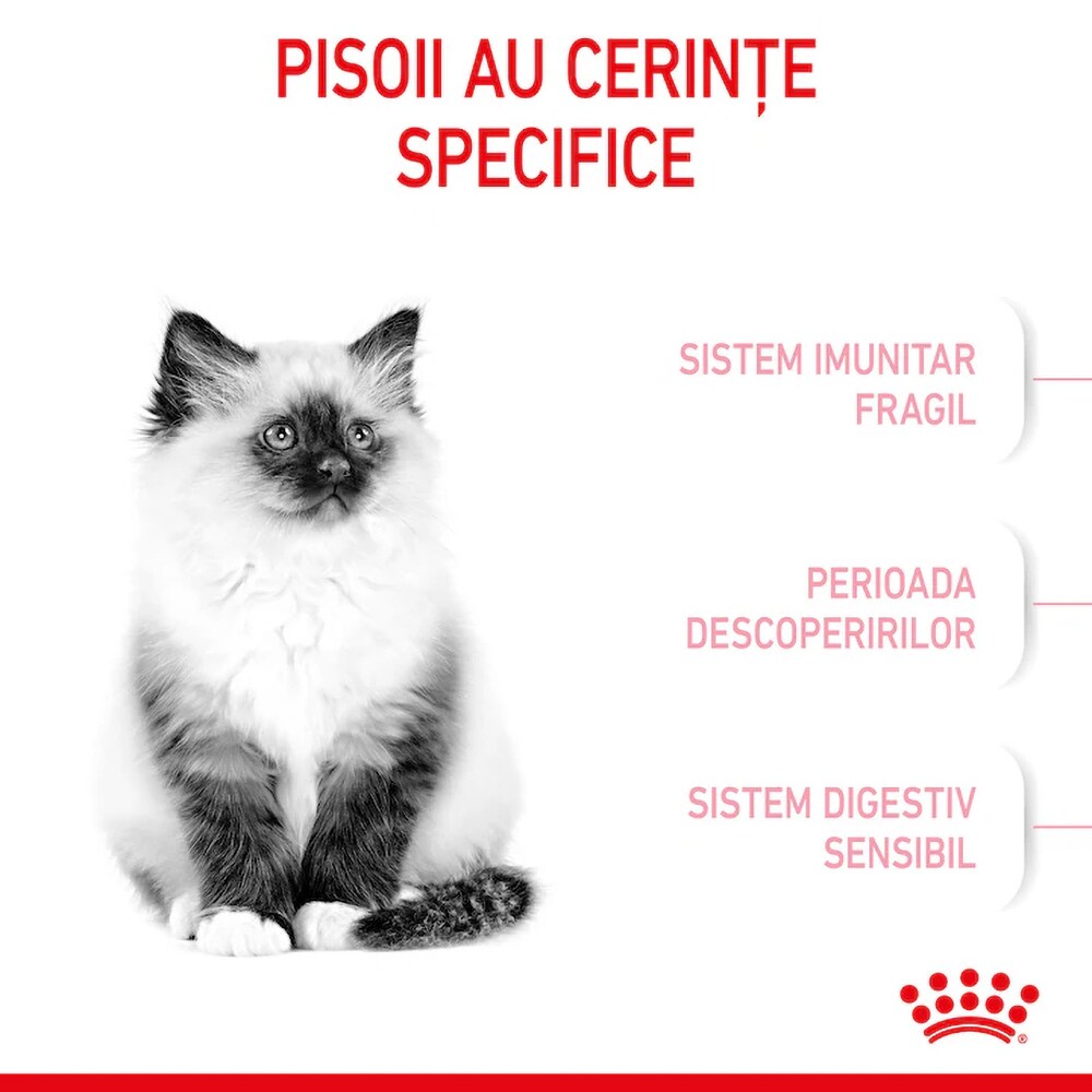 Hrana uscata pentru pisici ROYAL CANIN FHN Kitten, Junior, Pasare, 4 kg