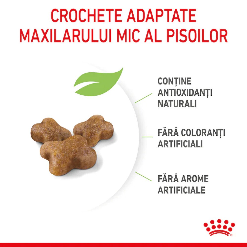 Hrana uscata pentru pisici ROYAL CANIN FHN Kitten, Junior, Pasare, 4 kg