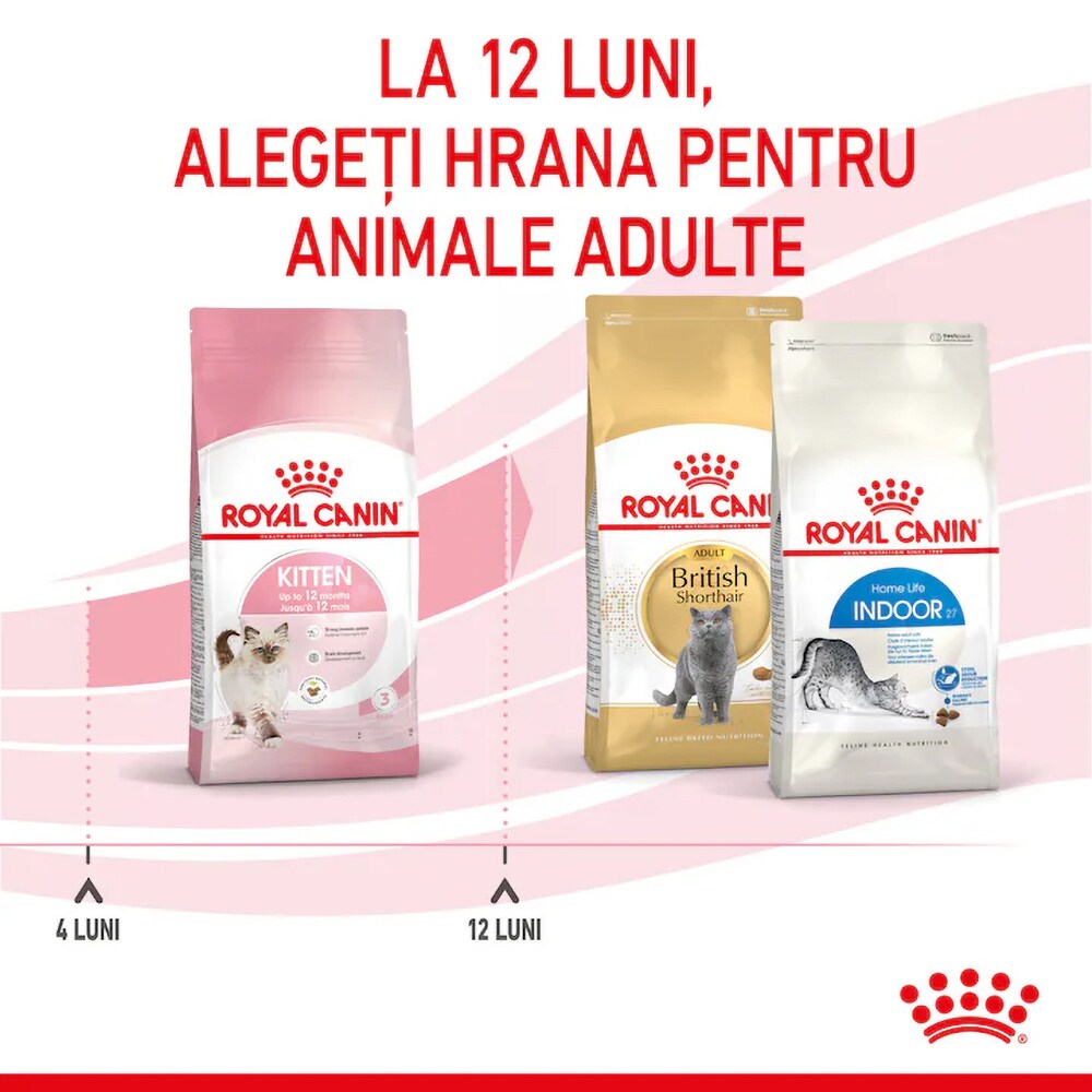 Hrana uscata pentru pisici ROYAL CANIN FHN Kitten, Junior, Pasare, 4 kg