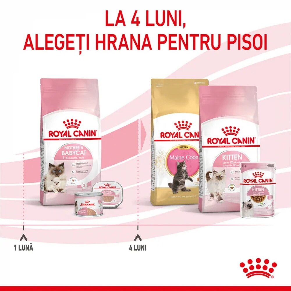 Hrana uscata pentru pisici ROYAL CANIN FHN Mother & Babycat, Adult, Pasare, 2 kg