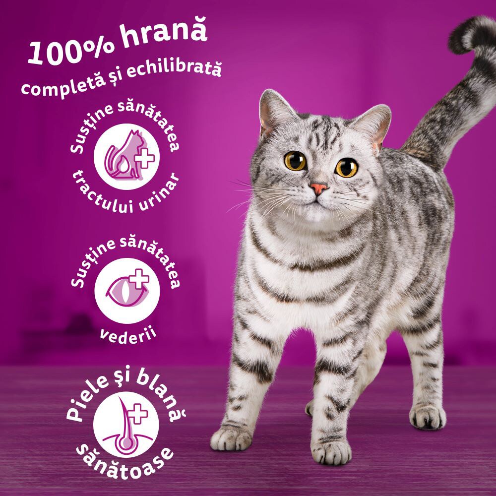 Hrana uscata pentru pisici WHISKAS, Adult, pui, 1.4 Kg