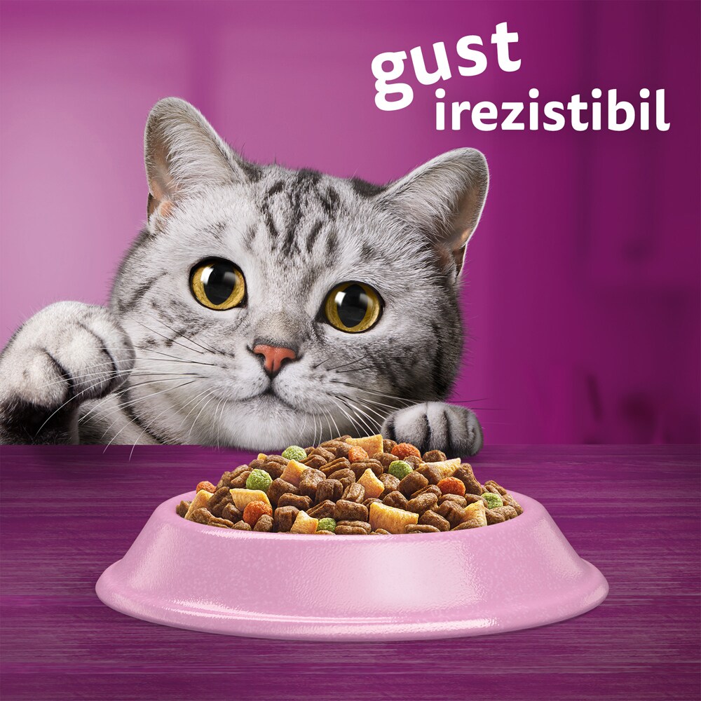 Hrana uscata pentru pisici WHISKAS, Adult, Somon, 1.4 kg