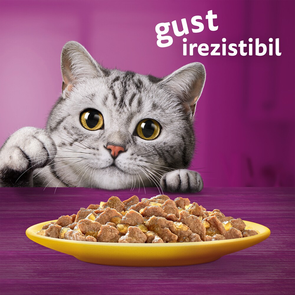 Hrana umeda pentru pisici WHISKAS, Adult, Pasare in aspic, 80 x 85g