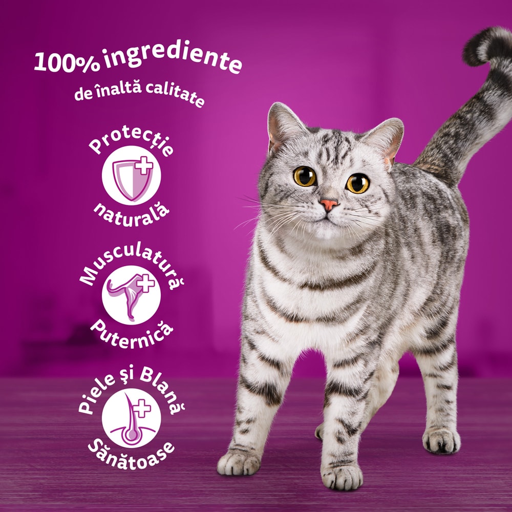 Hrana umeda pentru pisici WHISKAS Mese Clasice, Adult, Mix in sos, 80 x 85g