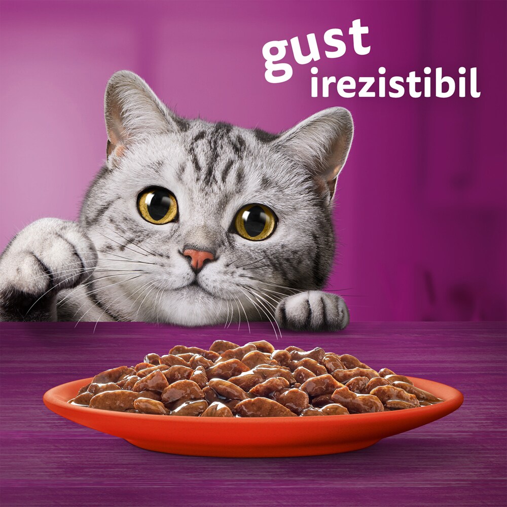 Hrana umeda pentru pisici WHISKAS Mese Clasice, Adult, Mix in sos, 80 x 85g