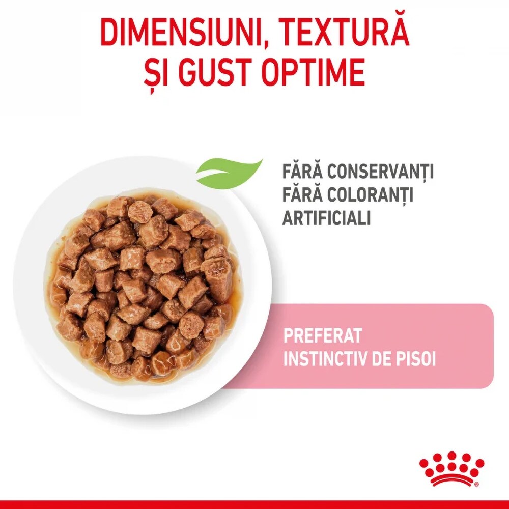 Hrana umeda pentru pisici ROYAL CANIN FHN Kitten, Junior, Mix in sos, 12 x 85g