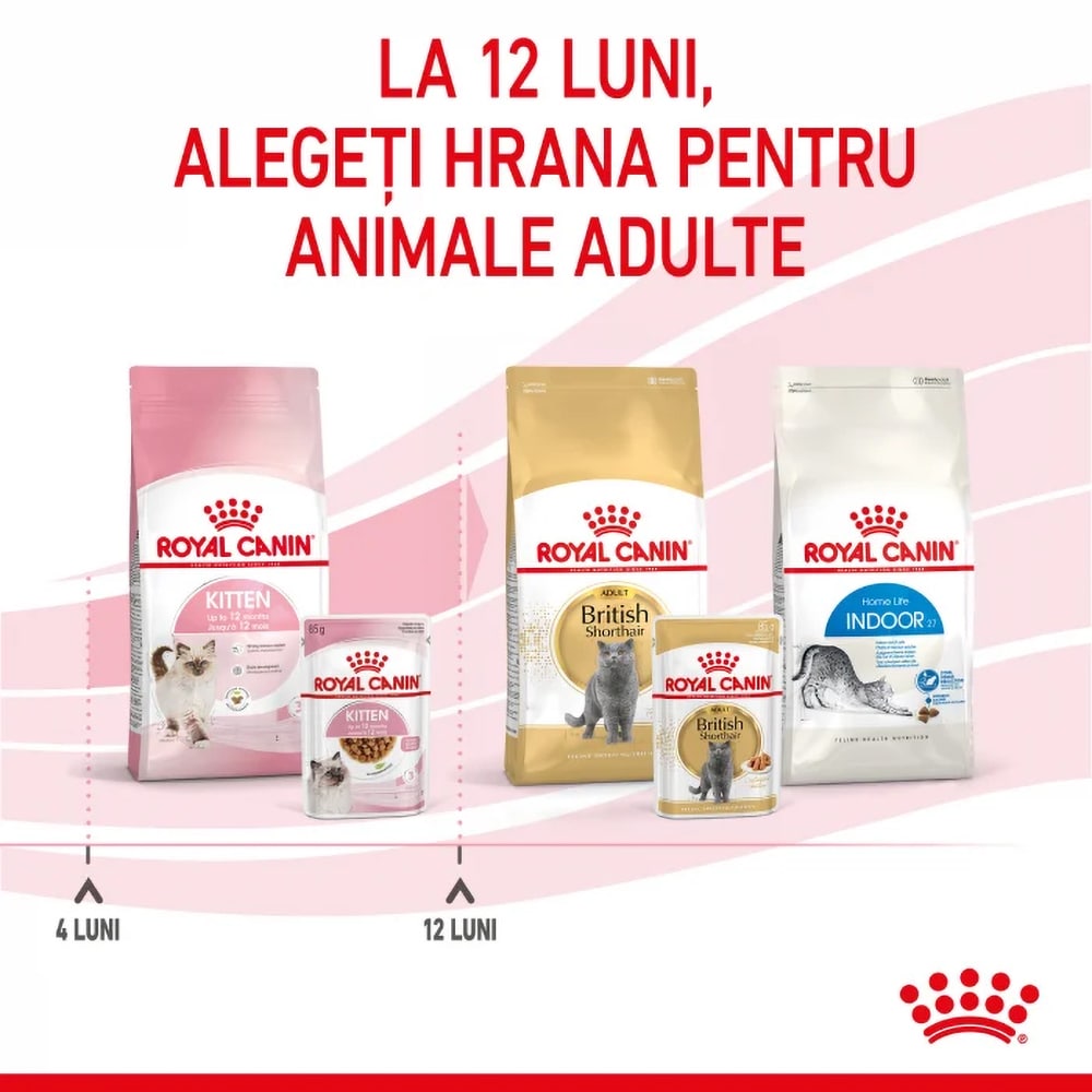 Hrana umeda pentru pisici ROYAL CANIN FHN Kitten, Junior, Mix in sos, 12 x 85g