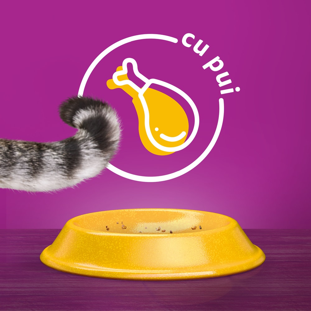 Hrana uscata pentru pisici WHISKAS, Adult, Pui, 14 kg