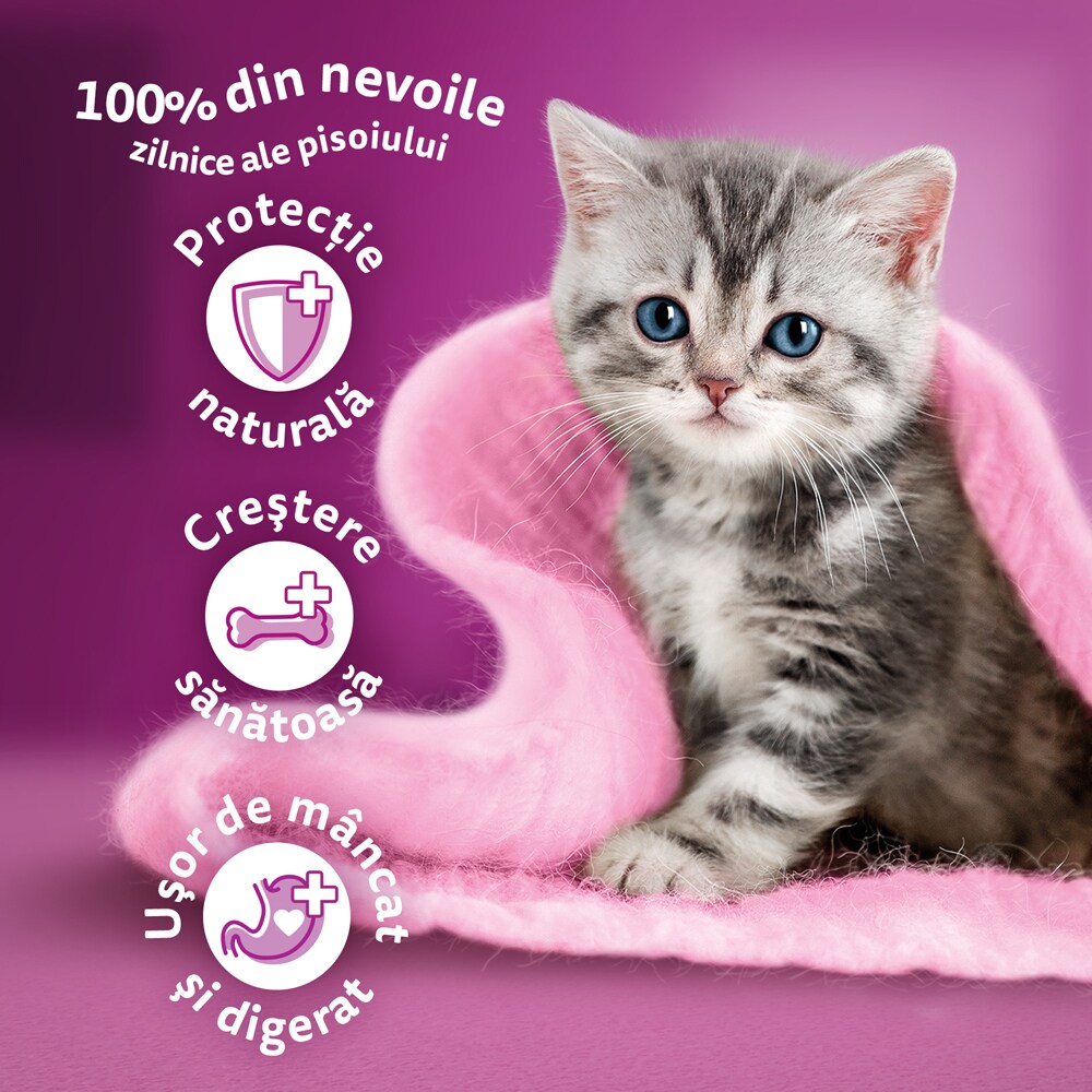 Hrana uscata pentru pisici WHISKAS, Junior, Pui, 14 kg