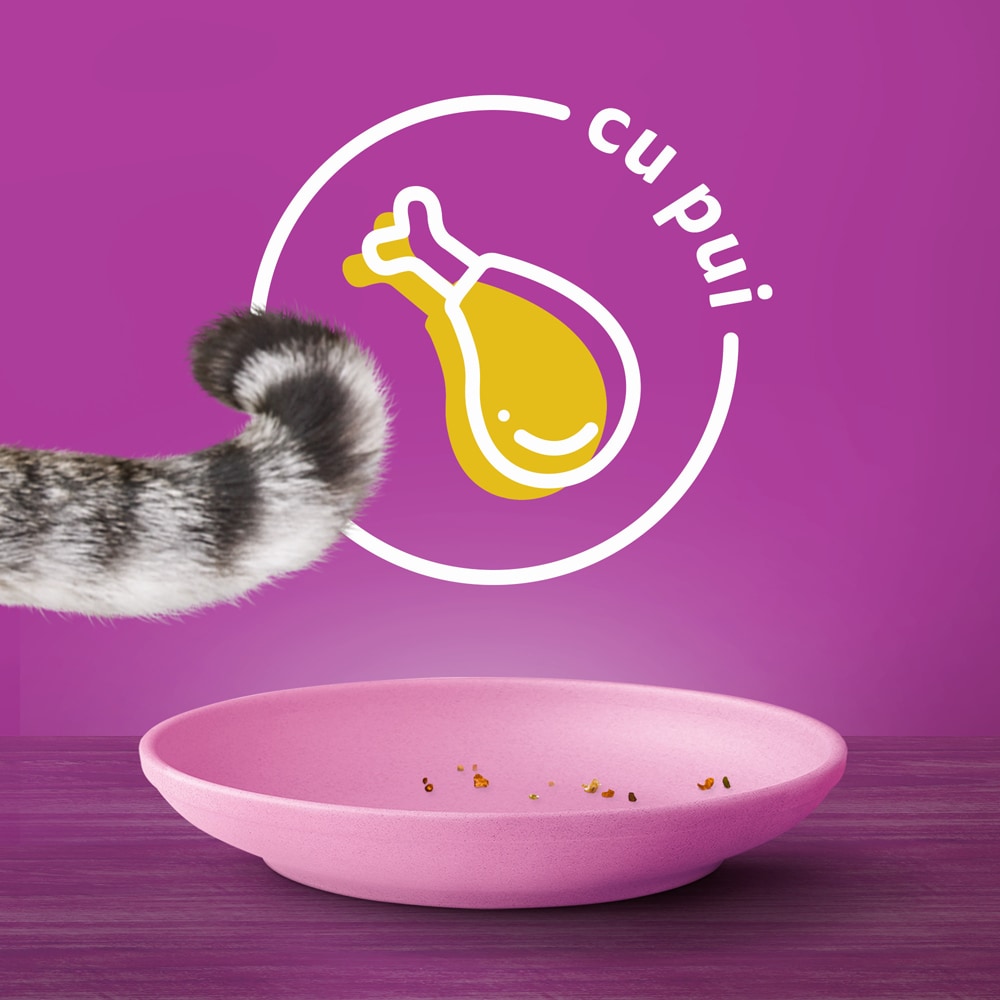 Hrana uscata pentru pisici WHISKAS, Junior, Pui, 14 kg