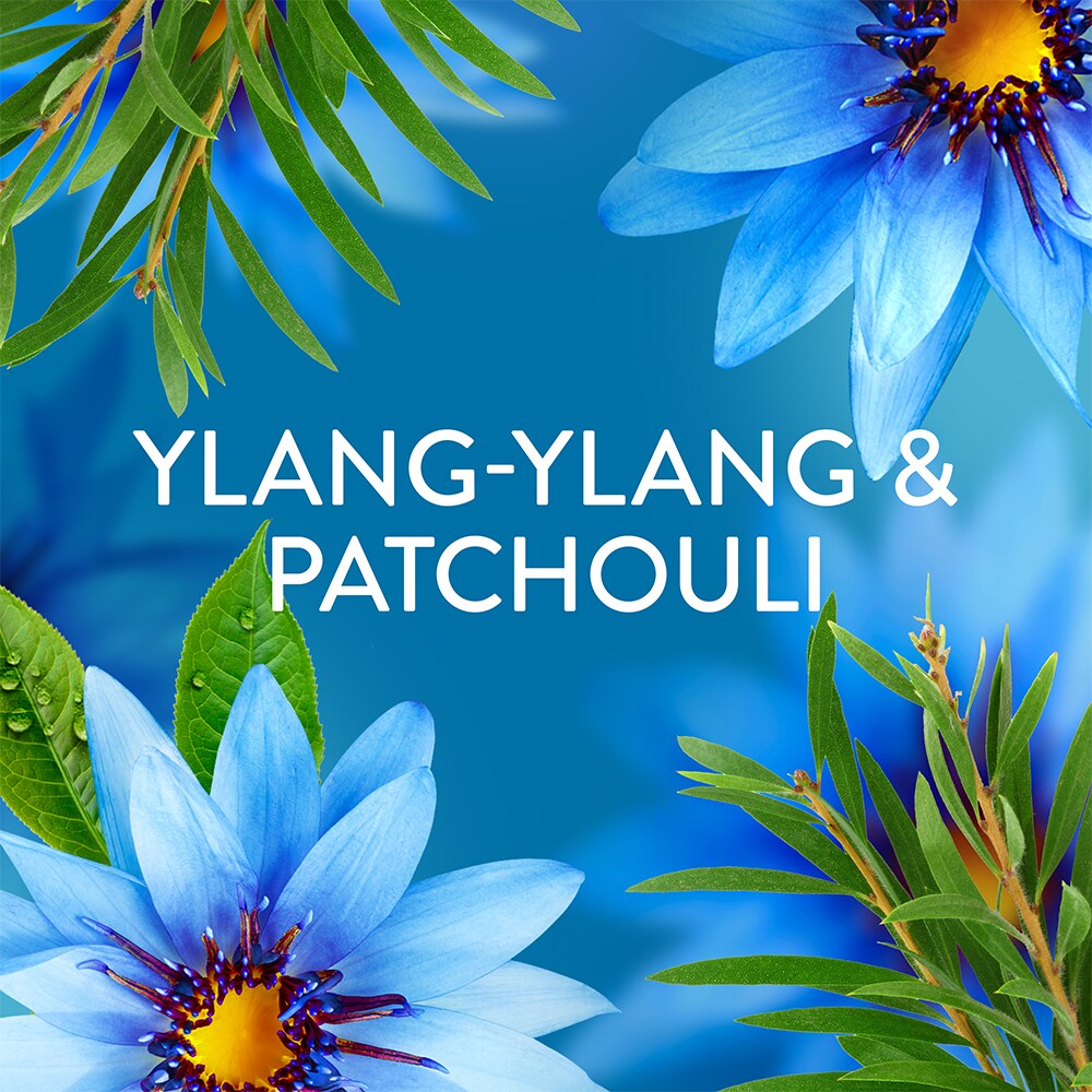 Balsam de rufe LENOR Ocean Breeze, 1.239 l, 59 spalari