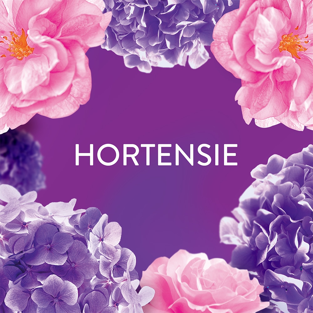 Balsam de rufe LENOR Floral Bouquet, 1.239 l, 59 spalari