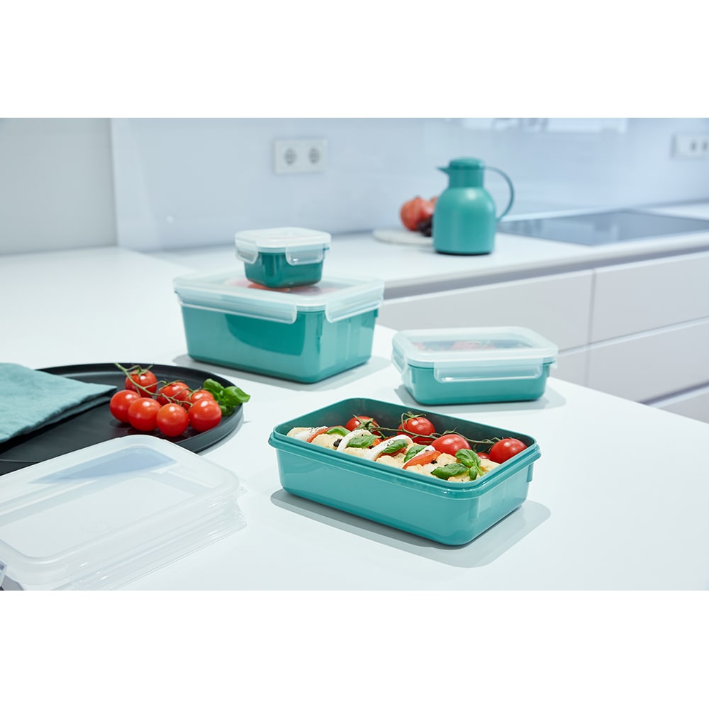 Set caserole TEFAL MasterSeal Colour Edition N1031010, 4 piese, plastic, verde