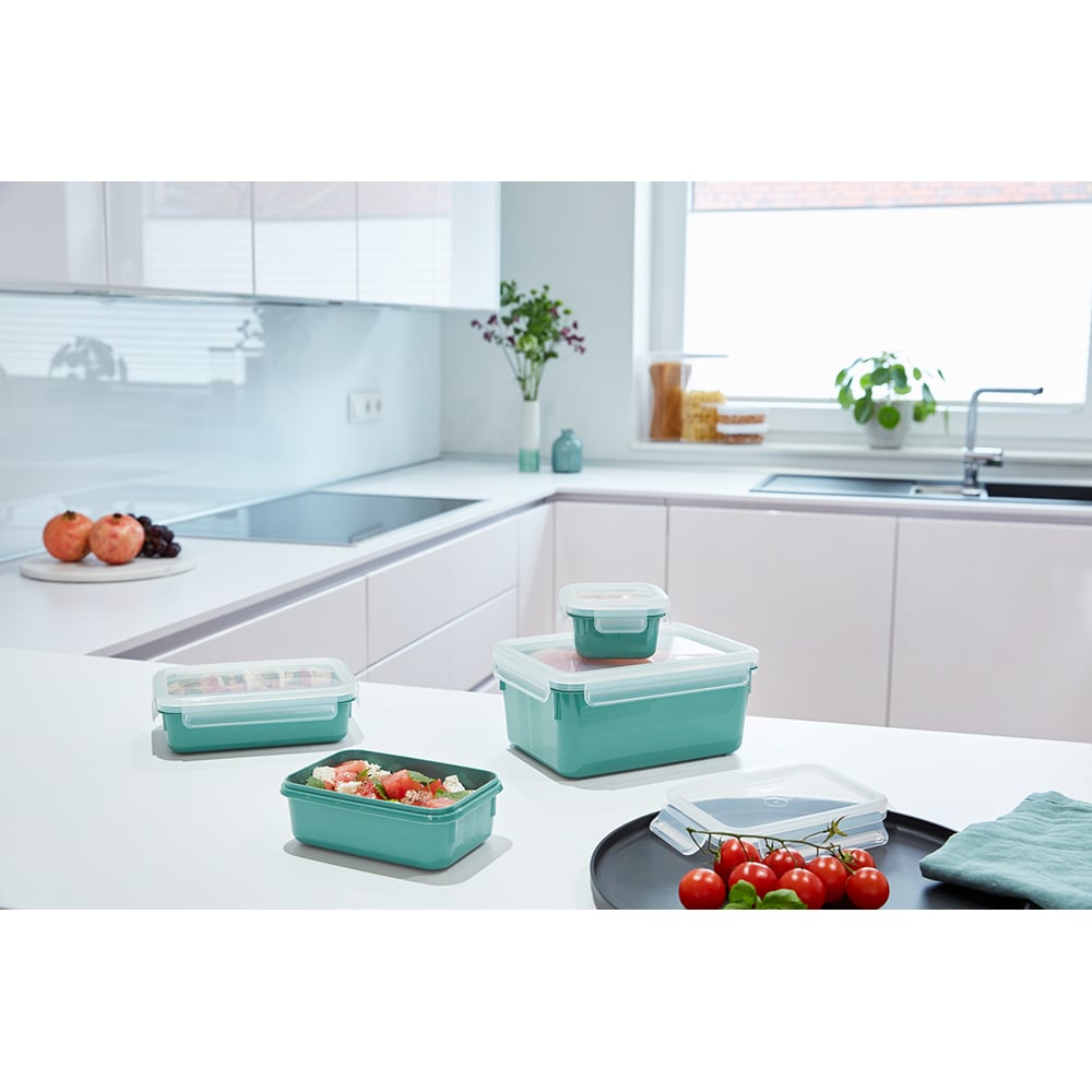 Set caserole TEFAL MasterSeal Colour Edition N1031010, 4 piese, plastic, verde
