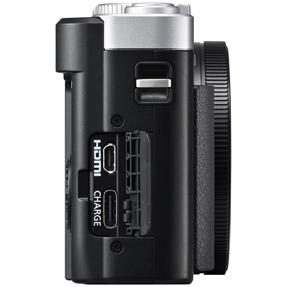 Aparat foto compact PANASONIC Lumix TZ99, 20.3MP, Wi-Fi, Bluetooth, argintiu