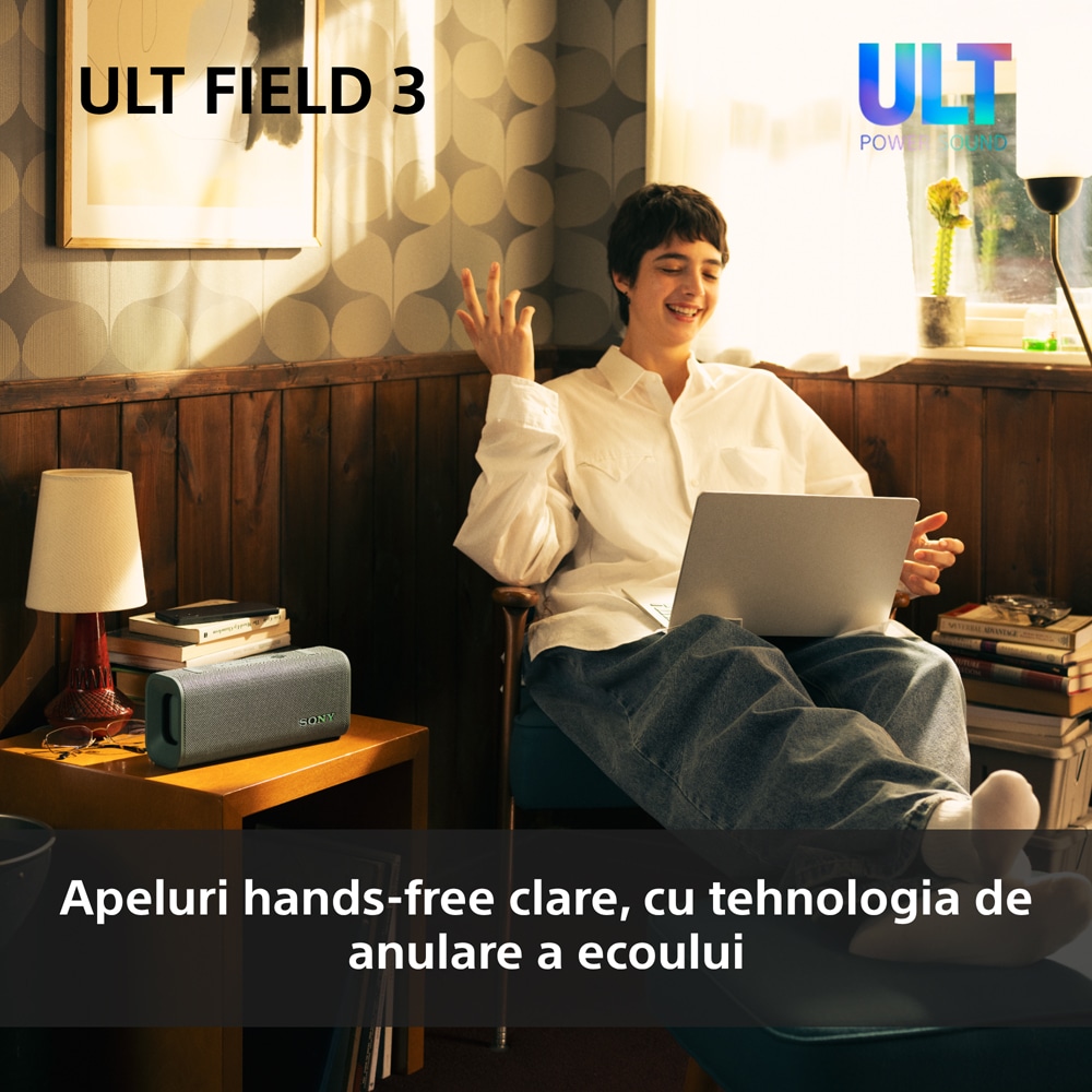 Boxa portabila SONY ULT FIELD 3 SRS-ULT30H, Bluetooth, IP67, gri