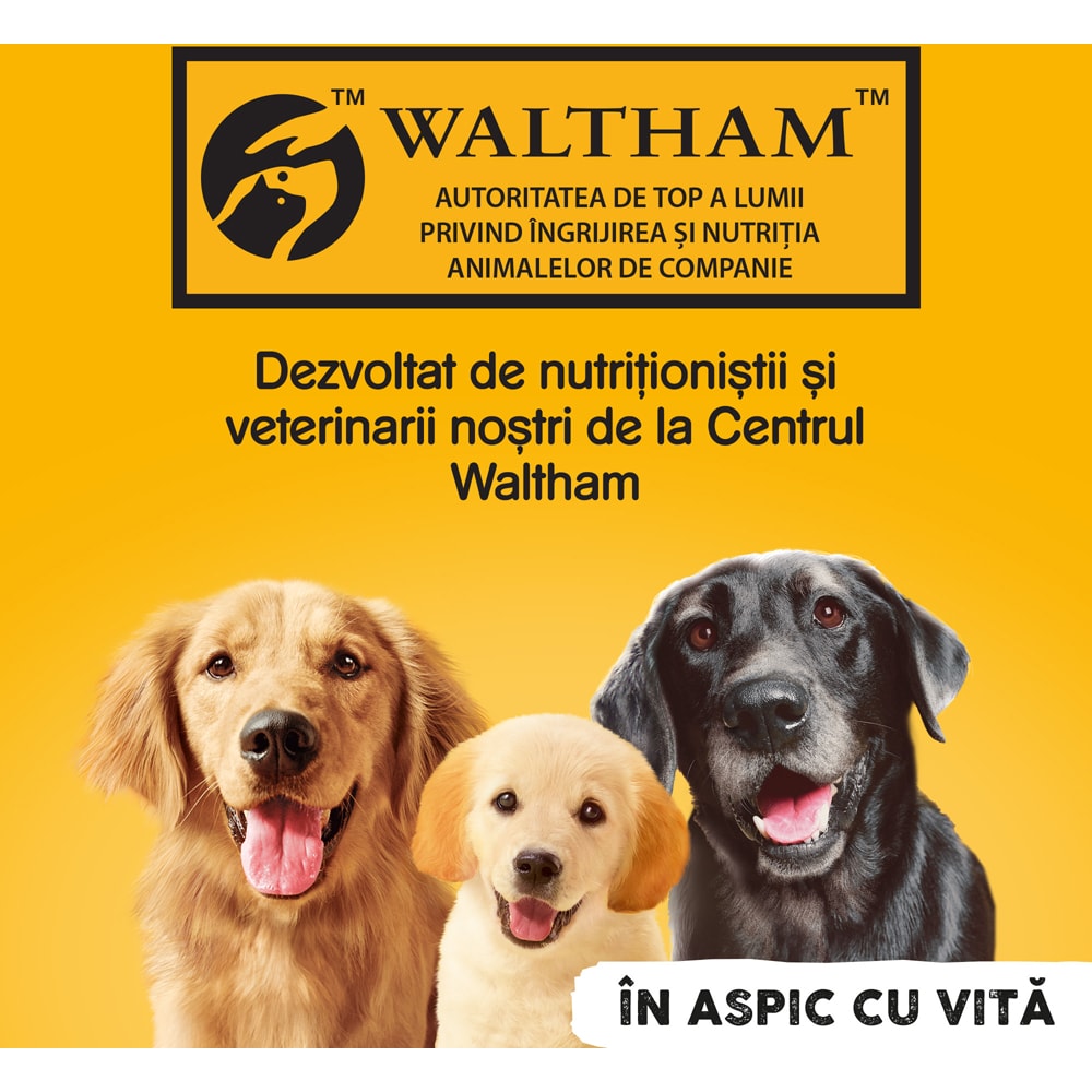 Hrana umeda pentru caini PEDIGREE, Adult, Vita in aspic, 12 x 1200g