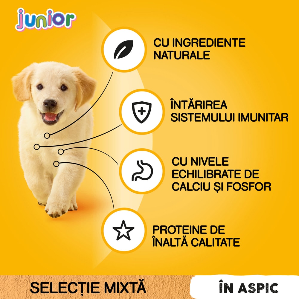 Hrana umeda pentru caini PEDIGREE Junior, Selectie mixta cu orez in aspic, 12 x 100g