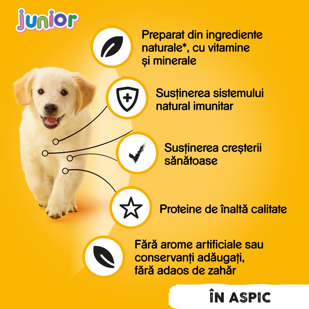 Hrana umeda pentru caini PEDIGREE, Junior, Pui in aspic, 24 x 400g