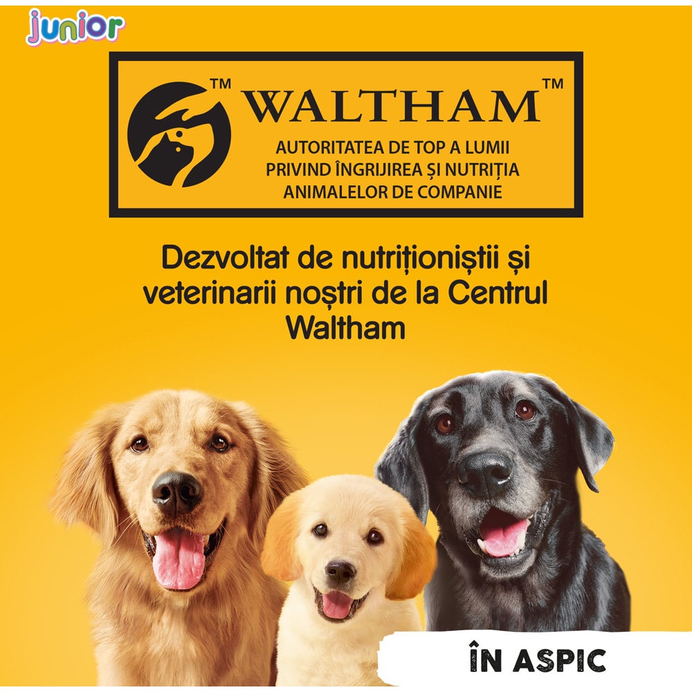 Hrana umeda pentru caini PEDIGREE, Junior, Pui in aspic, 24 x 400g