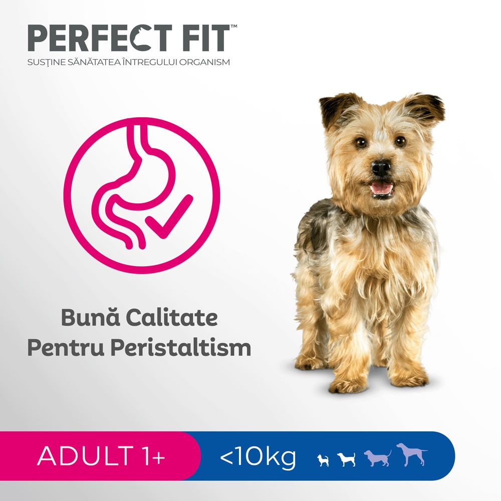 Hrana uscata pentru caini PERFECT FIT Adult 1+, Talie mica, Pui, 6 kg