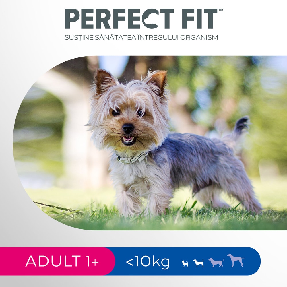 Hrana uscata pentru caini PERFECT FIT Adult 1+, Talie mica, Pui, 6 kg