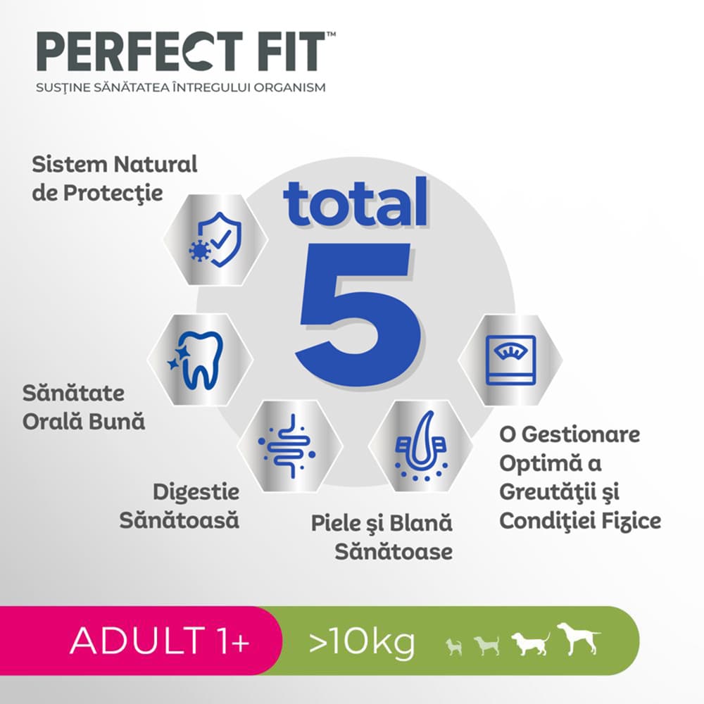 Hrana uscata pentru caini PERFECT FIT Adult 1+, Talie medie si mare, Pui, 6 kg