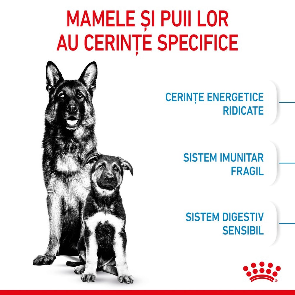 Hrana uscata pentru caini ROYAL CANIN SHN Maxi, Junior, Pasare, 4 kg
