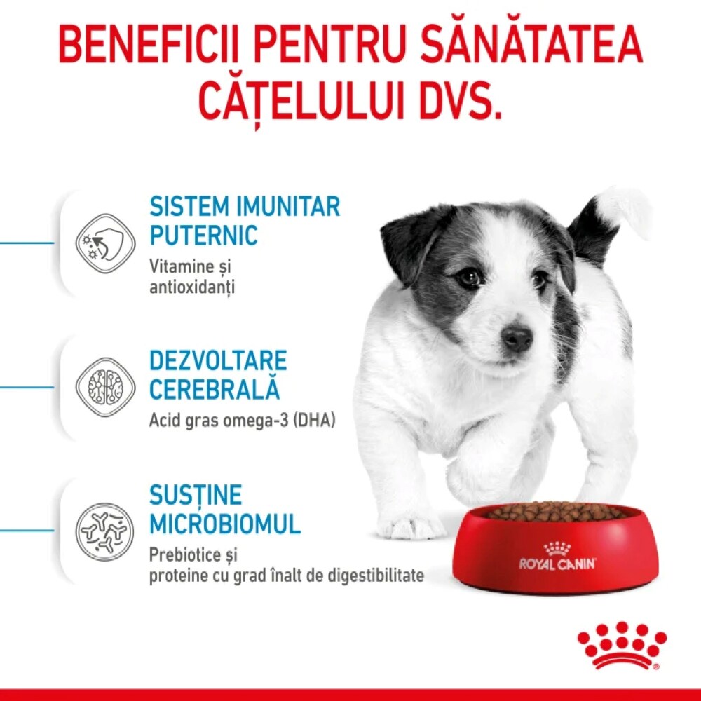 Hrana uscata pentru caini ROYAL CANIN SHN Mini, Junior, Pasare, 4 kg
