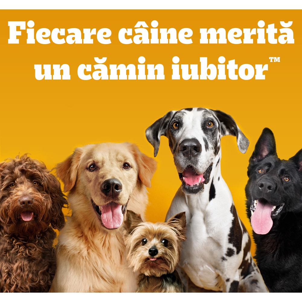 Hrana uscata pentru caini PEDIGREE Mini, Adult, Vita si legume, 12 kg