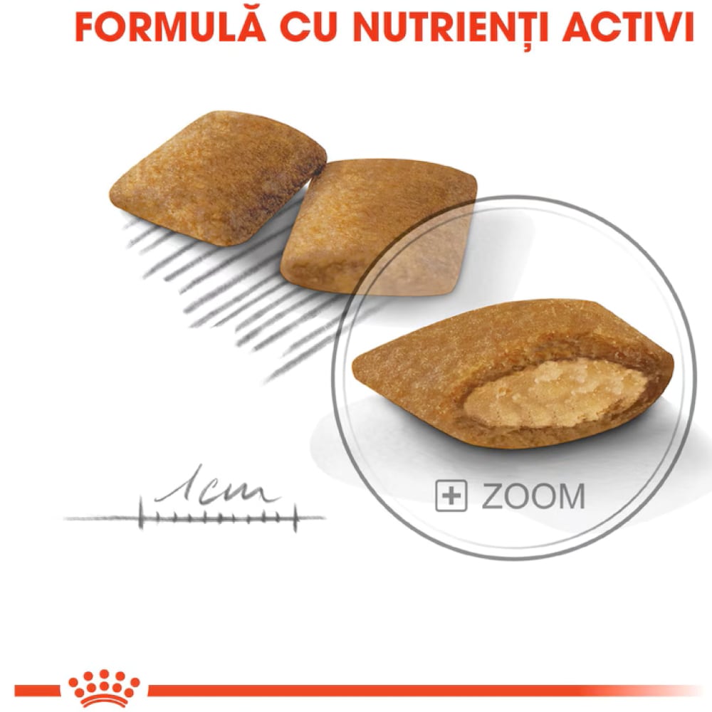 Hrana uscata pentru caini ROYAL CANIN CCN Mini Exigent, Adult, Pasare, 3 kg
